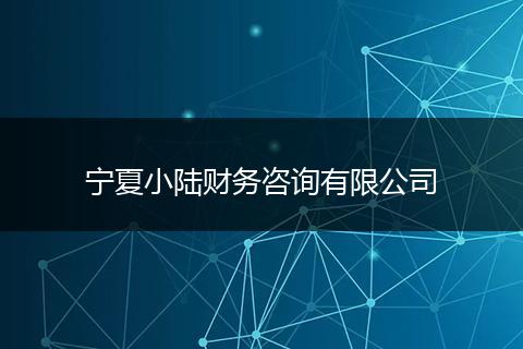 宁夏小陆财务咨询有限公司