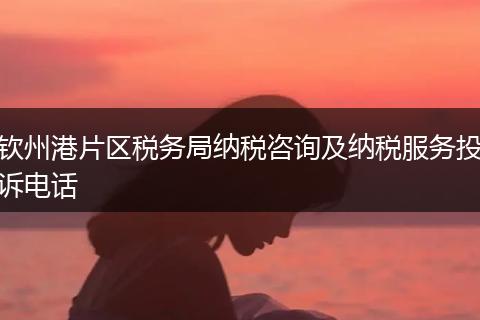 钦州港片区税务局纳税咨询及纳税服务投诉电话