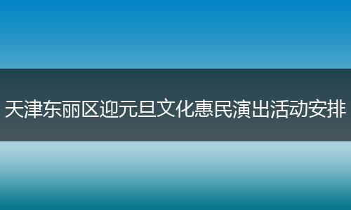 天津东丽区迎元旦文化惠民演出活动安排