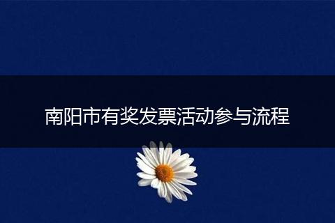 南阳市有奖发票活动参与流程