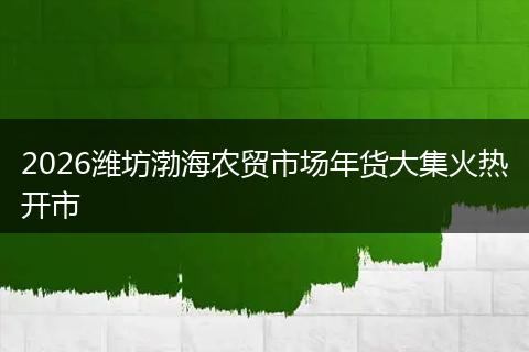 2026潍坊渤海农贸市场年货大集火热开市