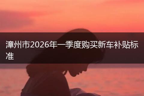 漳州市2026年一季度购买新车补贴标准