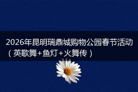 2026年昆明瑞鼎城购物公园春节活动（英歌舞+鱼灯+火舞传）