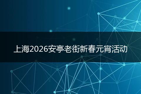 上海2026安亭老街新春元宵活动