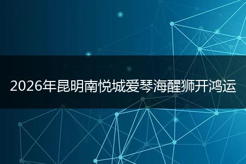 2026年昆明南悦城爱琴海醒狮开鸿运