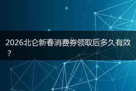 2026北仑新春消费券领取后多久有效？
