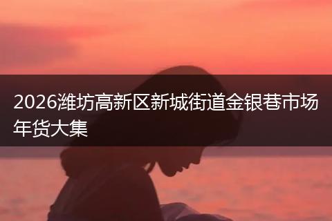 2026潍坊高新区新城街道金银巷市场年货大集