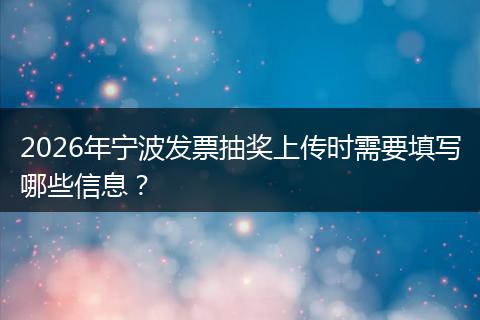 2026年宁波发票抽奖上传时需要填写哪些信息？