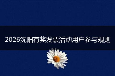 2026沈阳有奖发票活动用户参与规则