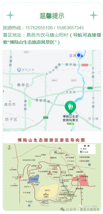 第十六届潍坊昌邑市山阳梨花节