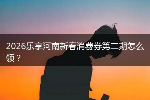 2026乐享河南新春消费券第二期怎么领？