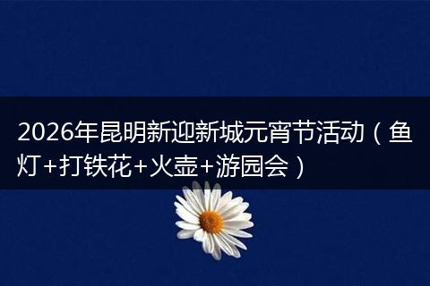 2026年昆明新迎新城元宵节活动（鱼灯+打铁花+火壶+游园会）