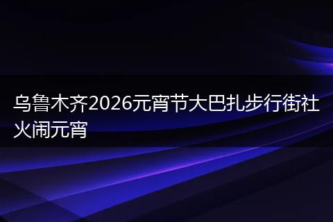 乌鲁木齐2026元宵节大巴扎步行街社火闹元宵