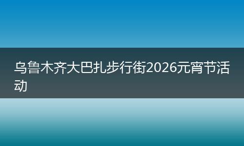 乌鲁木齐大巴扎步行街2026元宵节活动