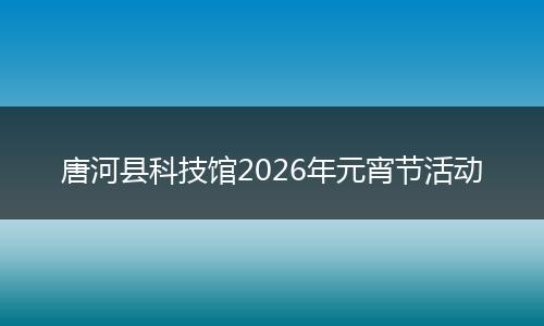 唐河县科技馆2026年元宵节活动