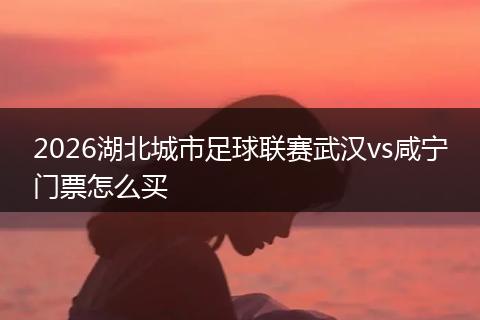 2026湖北城市足球联赛武汉vs咸宁门票怎么买