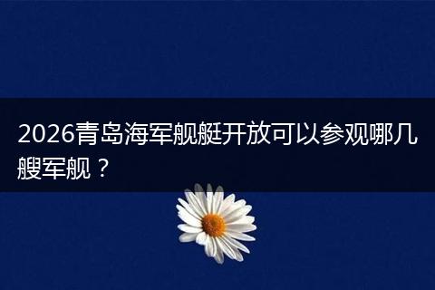 2026青岛海军舰艇开放可以参观哪几艘军舰？